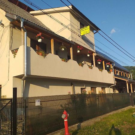 Pensiunea Casa Maria Vişeu de Sus Extérieur photo