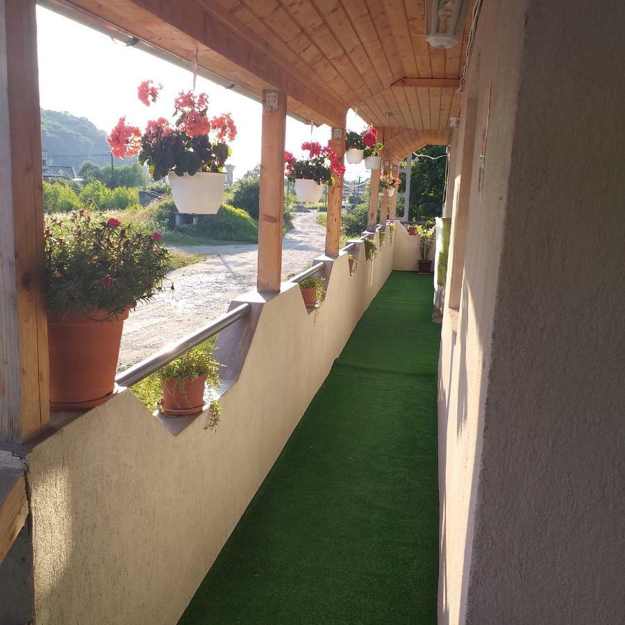 Pensiunea Casa Maria Vişeu de Sus Extérieur photo