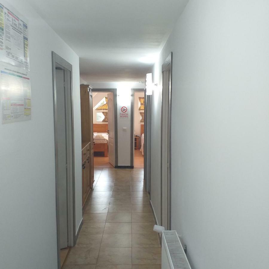 Pensiunea Casa Maria Vişeu de Sus Extérieur photo